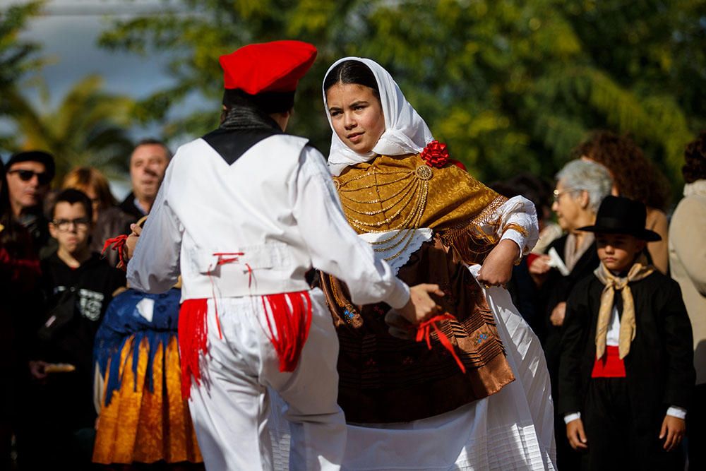 Fiestas de Santa Gertrudis