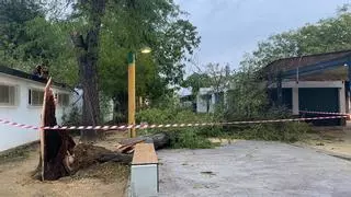 El Ayuntamiento de Palma del Río evalúa los daños de la borrasca Bernard