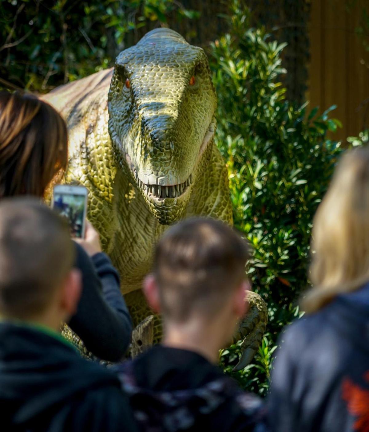 Uno de los dinosaurios que se pueden ver en la exposición.