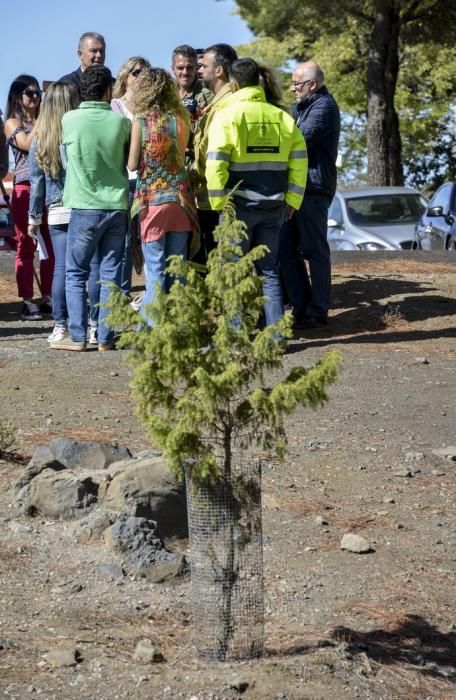 27/09/2017 CUMBRE DE GRAN CANARIA. Consejero del Gobierno de Canarias Morales del incendio. FOTO: J. PÉREZ CURBELO