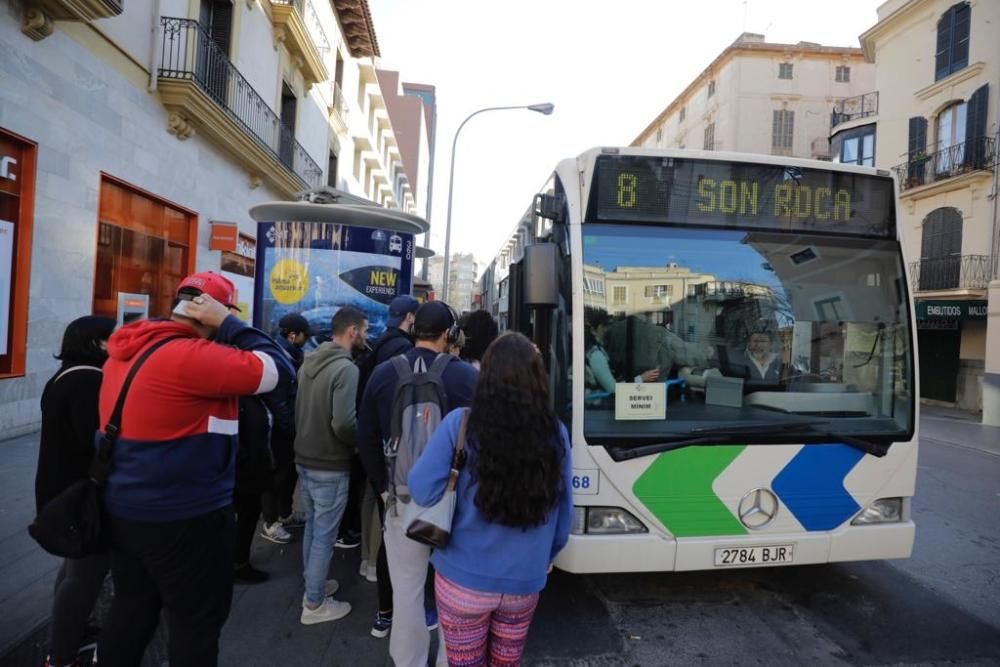 Streik bei Palmas Stadtbussen