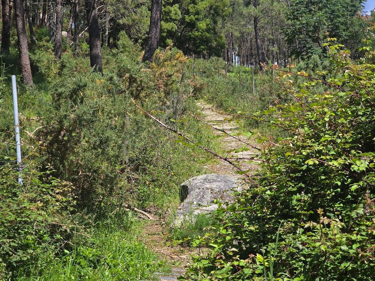 Aspecto que presenta el mirador de Con da Hedra, en San Vicente de O Grove.