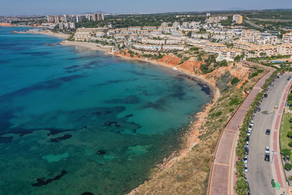 El Ayuntamiento de Orihuela ha invertido 32.000 euros en adecuar un sendero de 1,4 kilómetros en la microrreserva de flora de Punta de La Glea y ha presentado guía con las 56 especies de flora, muchas