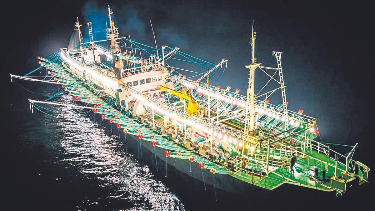 Els vaixells atreuen als calamars amb potents focus