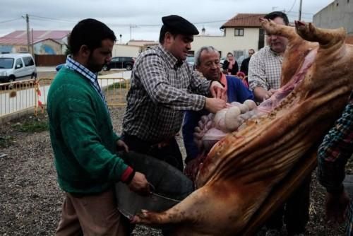 Matanza tradicional en Monfarracinos