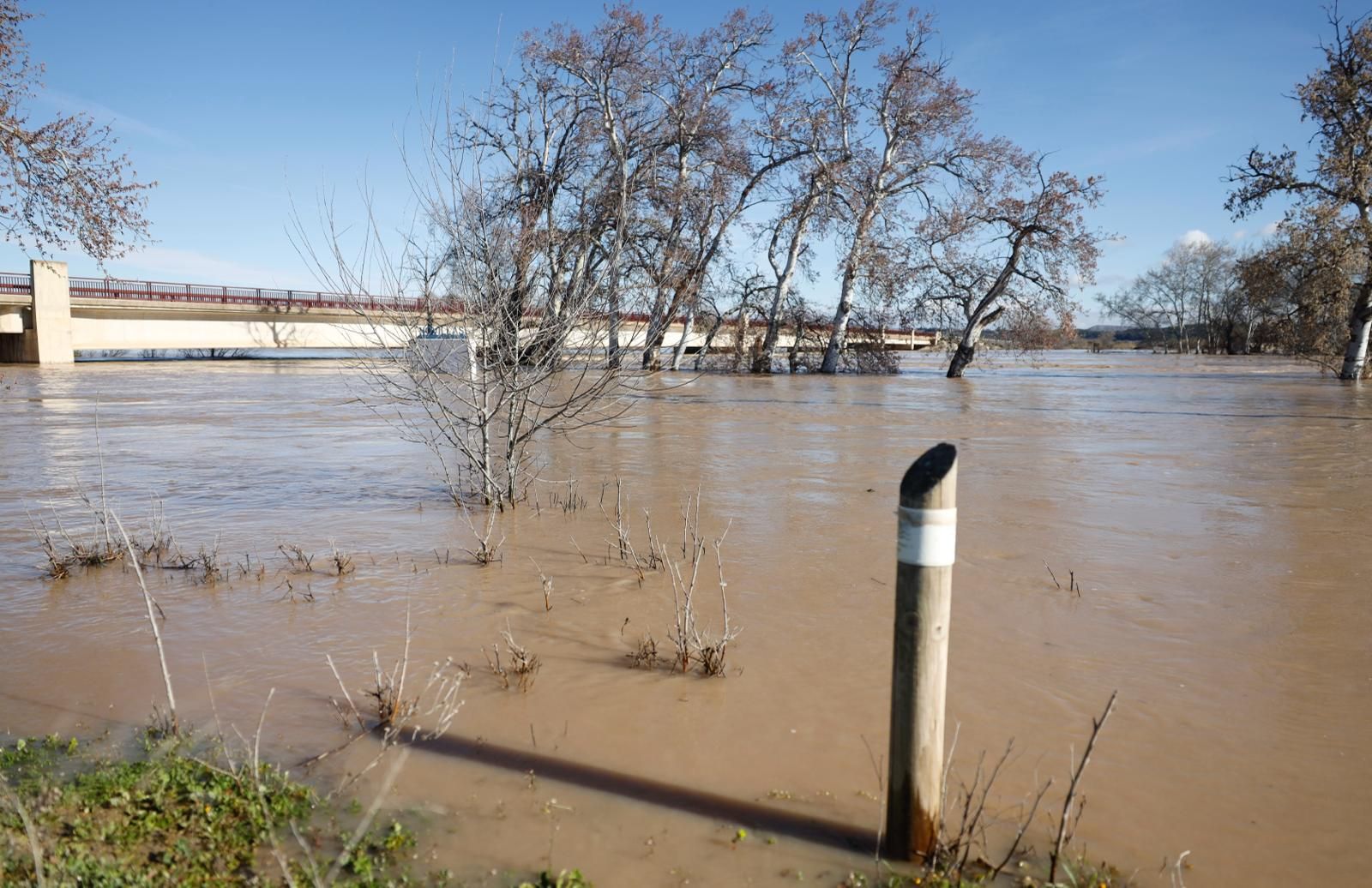 En imágenes | Así transcurre la crecida del Ebro a su paso por Aragón