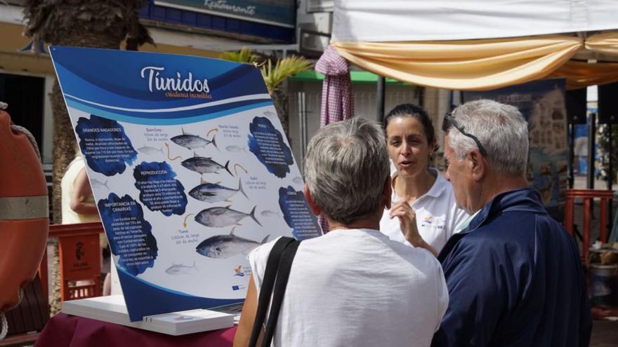 Imagen de la jornada de divulgación de la pesca artesanal celebrada a principios de marzo en Los Cristianos (Arona).