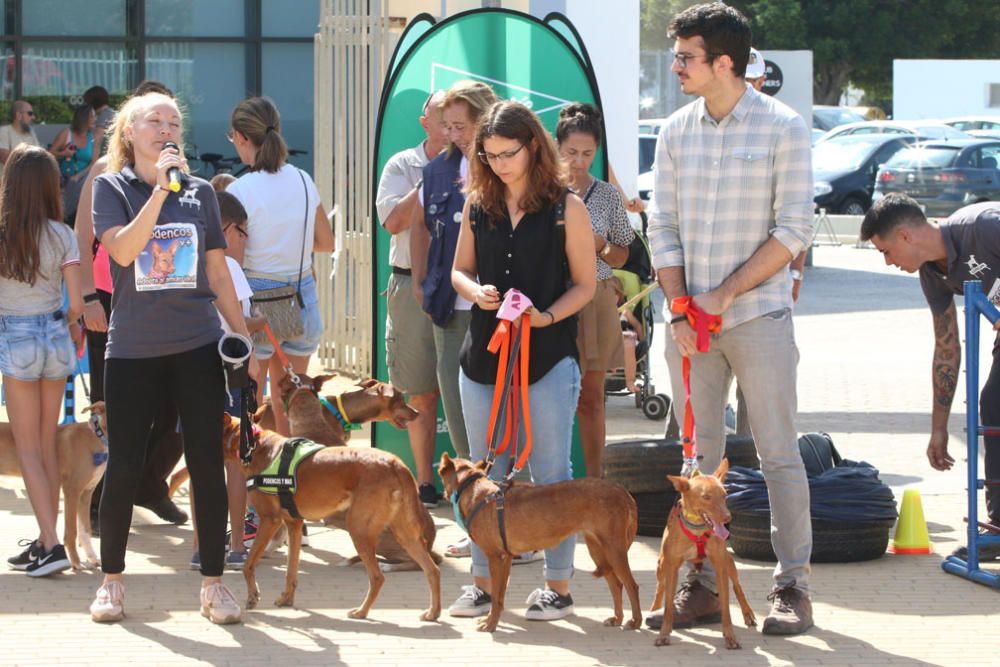 El Parque Huelin ha acogido la primera edición de un evento destinado a las mascotas y a sus dueños, con carreras en diversas categorías, actividades gratuitas y numerosos stands