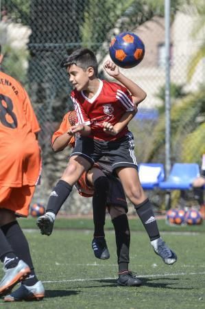 21042018 LAS PALMAS DE GRAN CANARIA. Partido Guiniguada- Almenara FOTO: J. PÉREZ CURBELO  | 21/04/2018 | Fotógrafo: José Pérez Curbelo