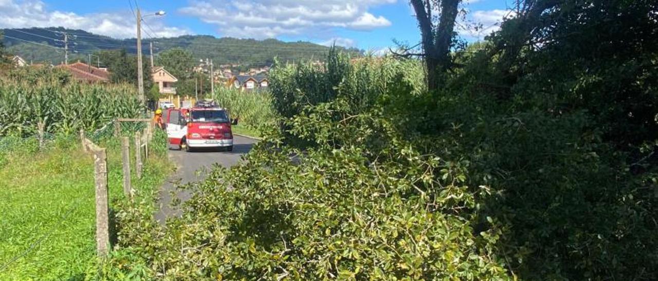 Efectivos de Emerxencias Cangas acudieron al lugar.   | // FDV