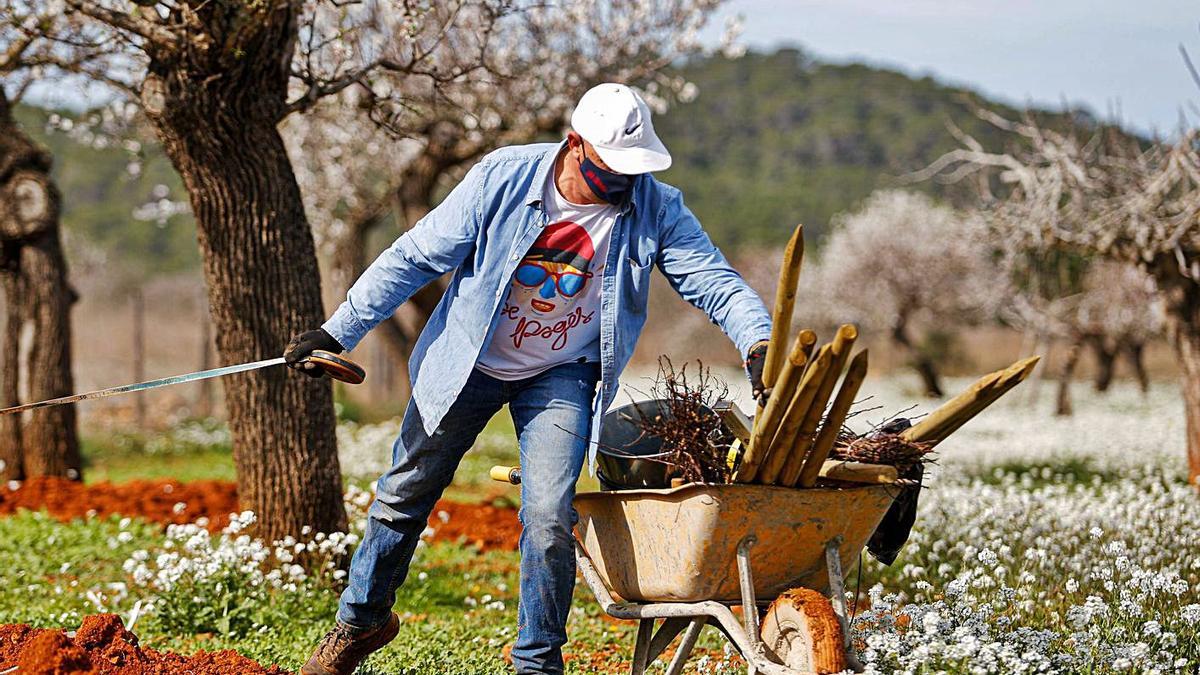 Los grandes cocineros apuestan por recuperar especies autóctonas. | TONI ESCOBAR