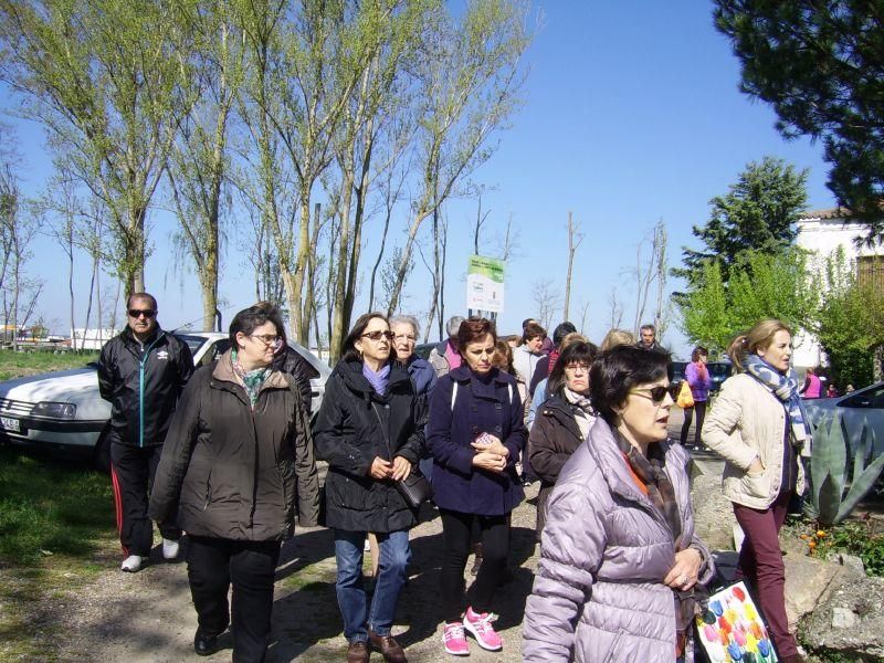 Celebración de San Marcos en la provincia