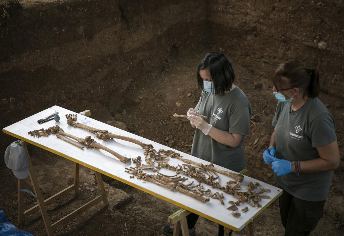 Forenses de la asociación Aranzadi examinan uno de los cadáveres rescatados en la fosa de Pico Rejas, en el cementerio de San Fernando de Sevilla.