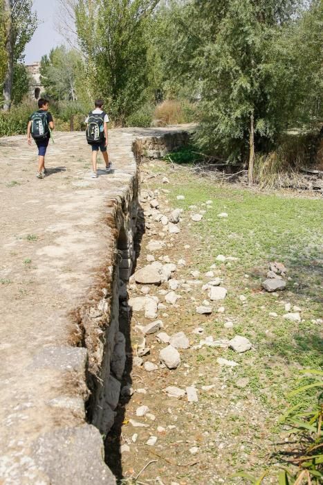 Sequía en Zamora: El Duero, bajo mínimos