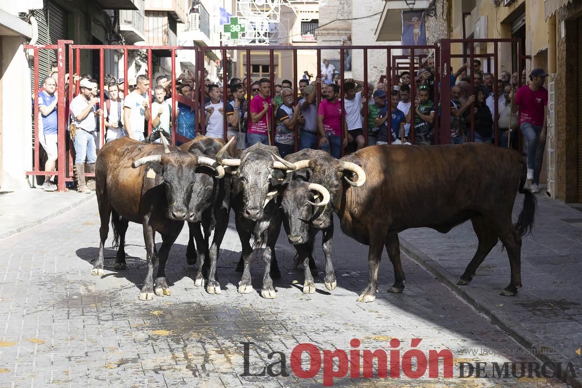 Cuarto encierro en las Fiestas de Moratalla