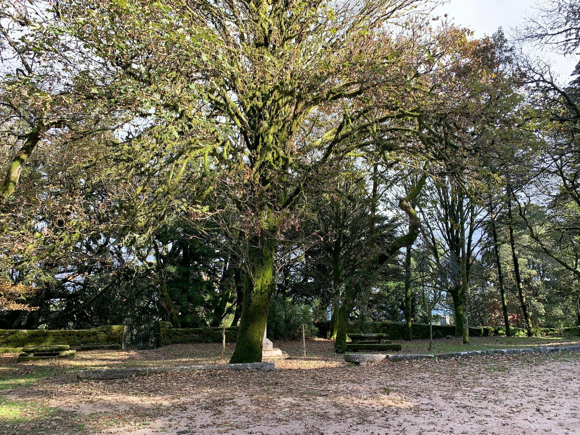 Vista del Parque Natural del Monte Aloia en otoño de 2022.