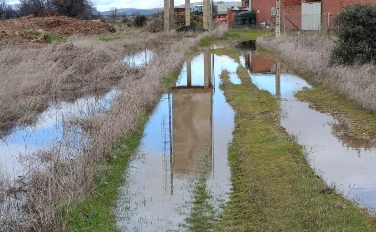 Situación en la que se encuentra otro de los caminos. | CEDIDA
