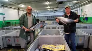 VÍDEO: El primer bonito del norte se vende a 339,60 euros el kilo en Avilés