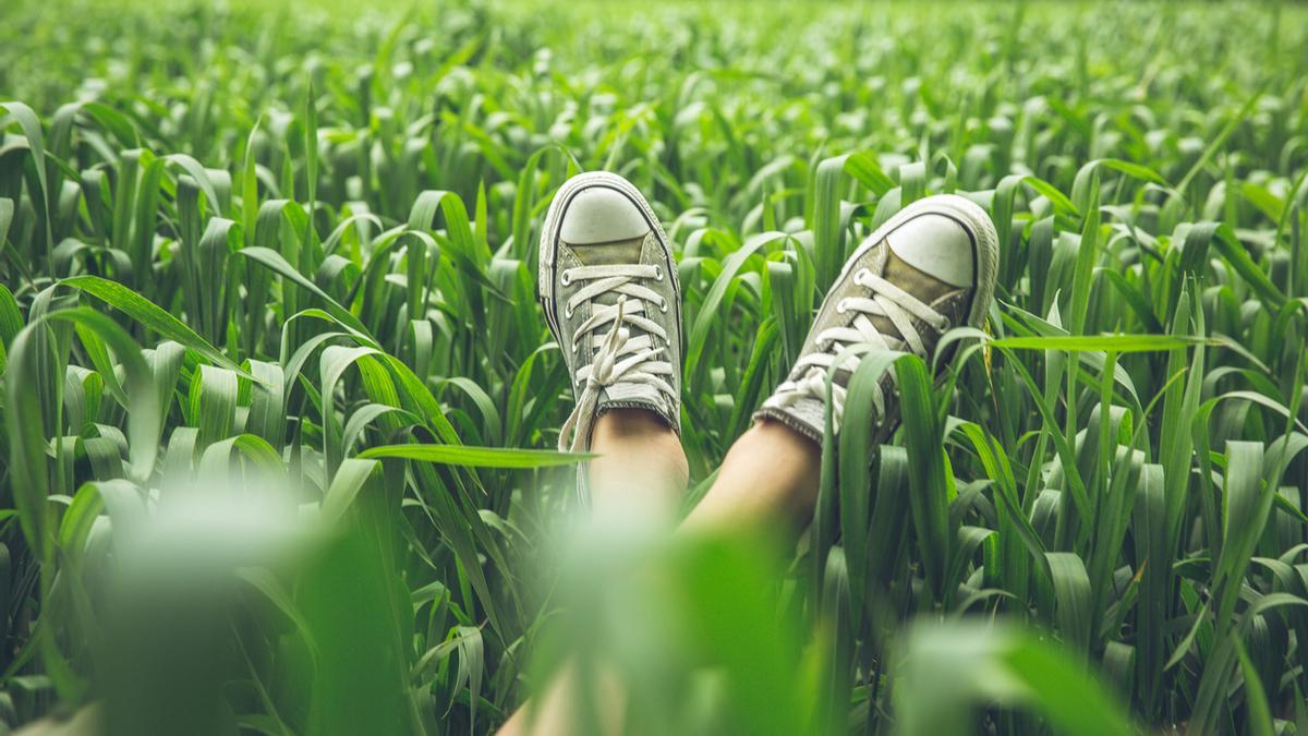 Plano de zapatillas en un campo