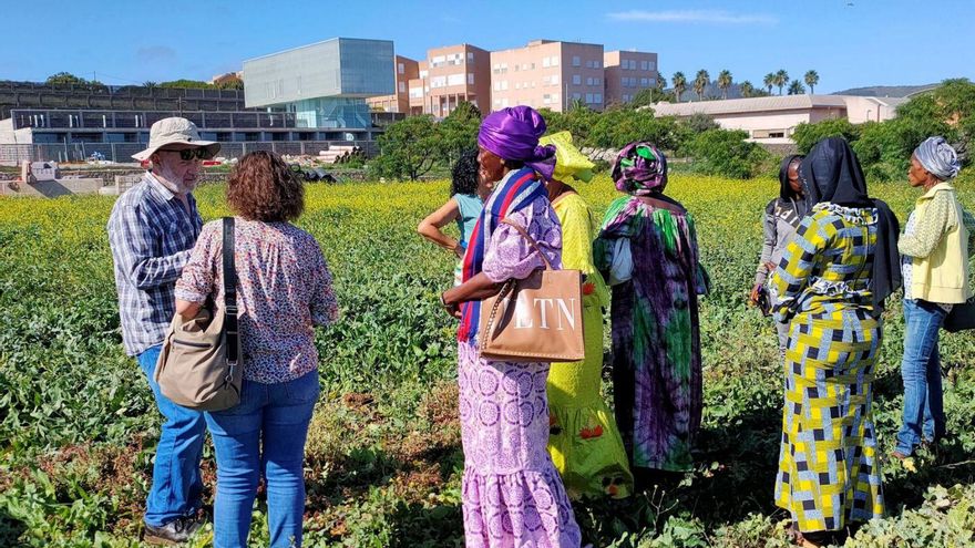 Las mujeres senegalesas durante su estancia de una semana en la Isla.