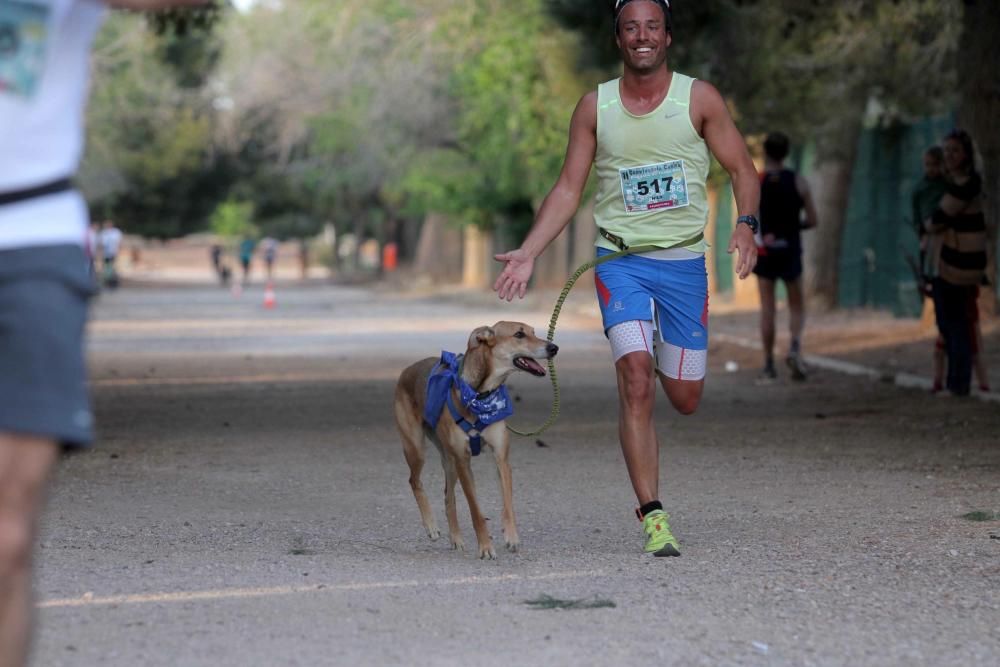 I Cross Canina de Santa Ana