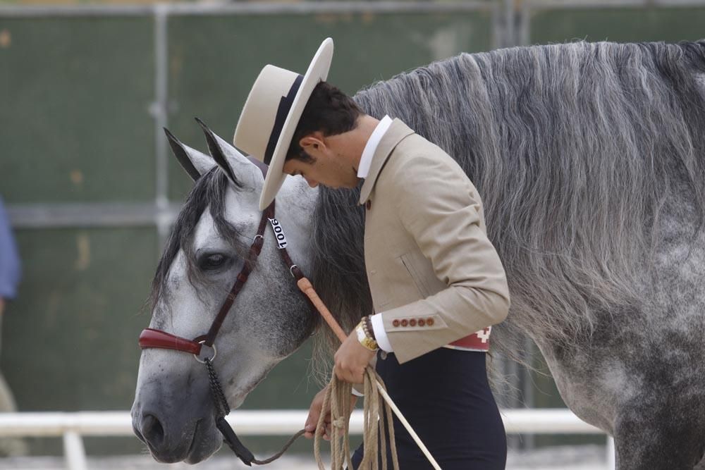 Cabalcor puede con la lluvia y el Covid