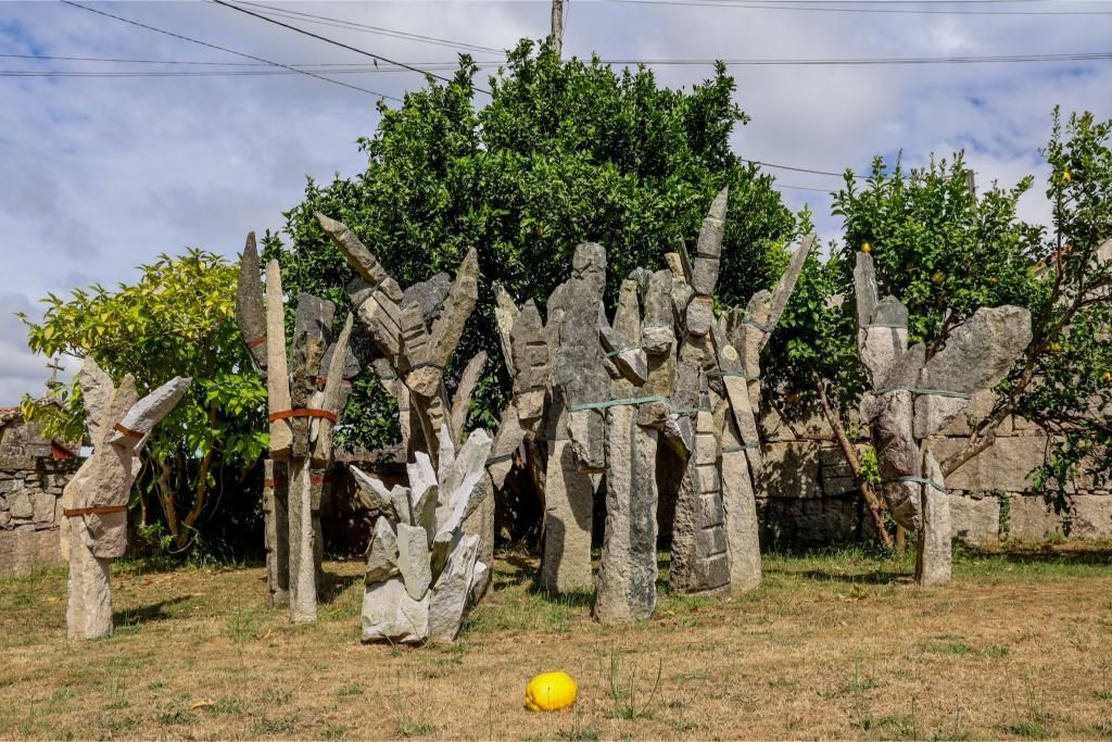 Así es el territorio de artista de Francisco Pazos