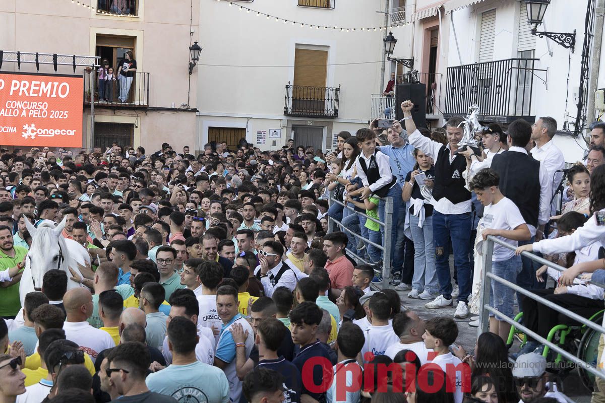 Fiestas de Caravaca | Entrega de premios del concurso morfológico