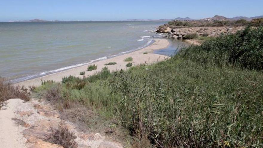 Anse afirma que hay más de 12.000 hectáreas de regadíos ilegales en el Mar Menor