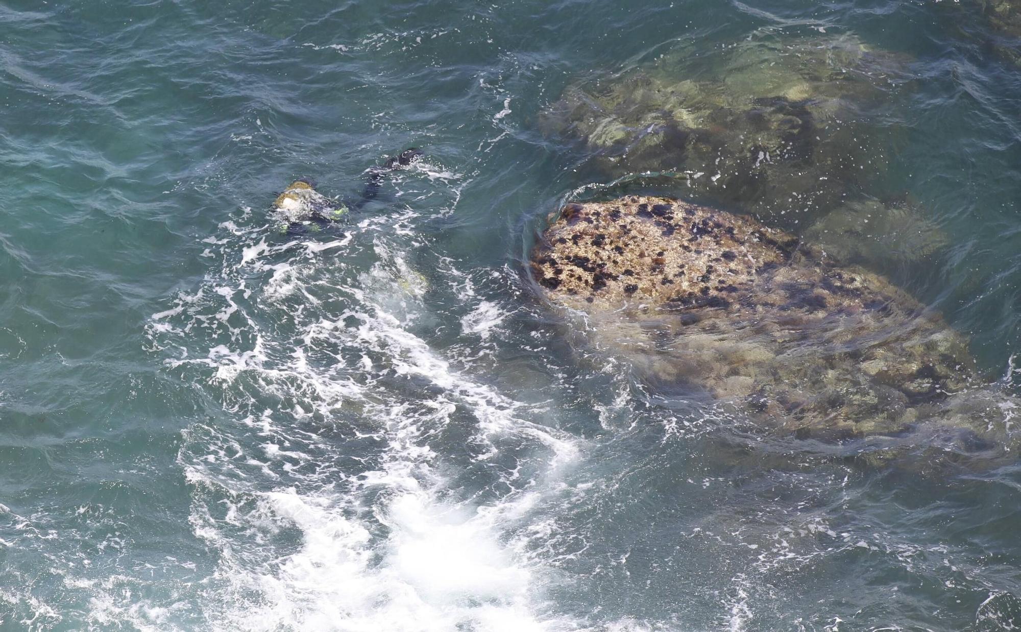 En imágenes: Así fueron las labores de desactivación de tres obuses en la costa de Gijón