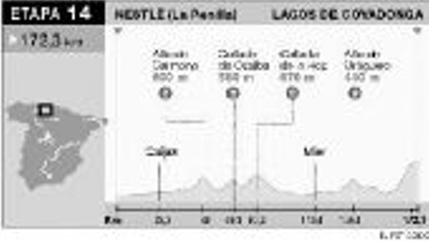 PERFIL Y CLASIFICACIONES