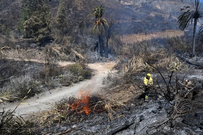 18/03/2019 FATAGA. SAN BARTOLOME DE TIRAJANA.  Incendio en Fataga, en la Finca Rural, Molino de Agua. Fotografa: YAIZA SOCORRO.  | 18/03/2019 | Fotógrafo: Yaiza Socorro