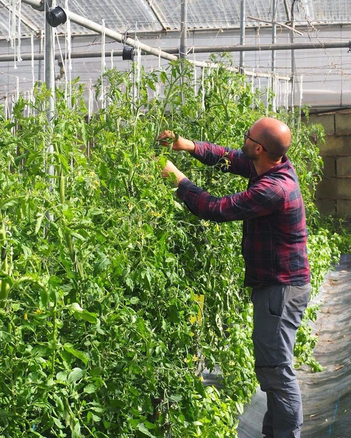 Un agricultor trabaja en una finca.