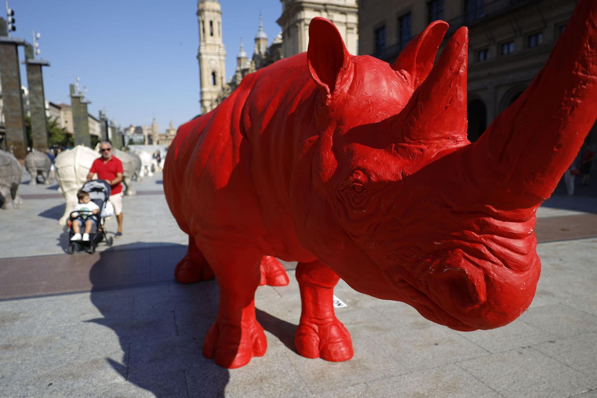 EN IMÁGENES | Inauguración de la exposición de los rinocerontes de Fabelo plaza del Pilar