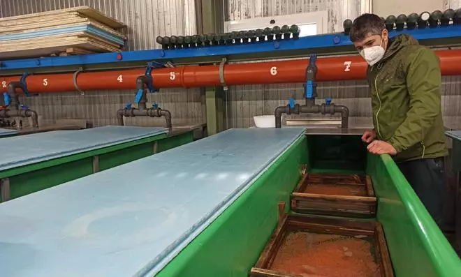 El uso eléctrico del embalse de Soto de la Barca amenaza el desove de los salmones