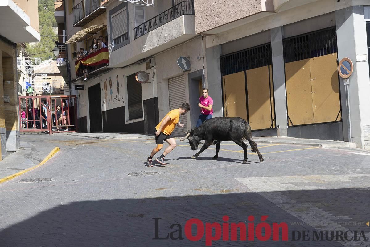 Cuarto encierro en las Fiestas de Moratalla
