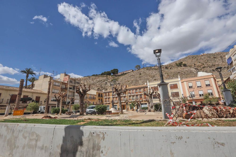 Así ha quedado la plaza de Santa Lucía de Orihuela tras retirar los troncos y tocones de 23 palmeras secas