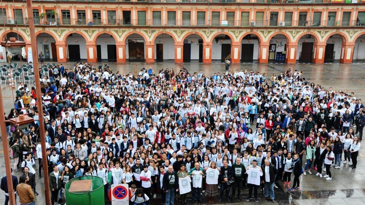 Más de 800 escolares de 32 centros participan en la Yincana Matemática por Córdoba