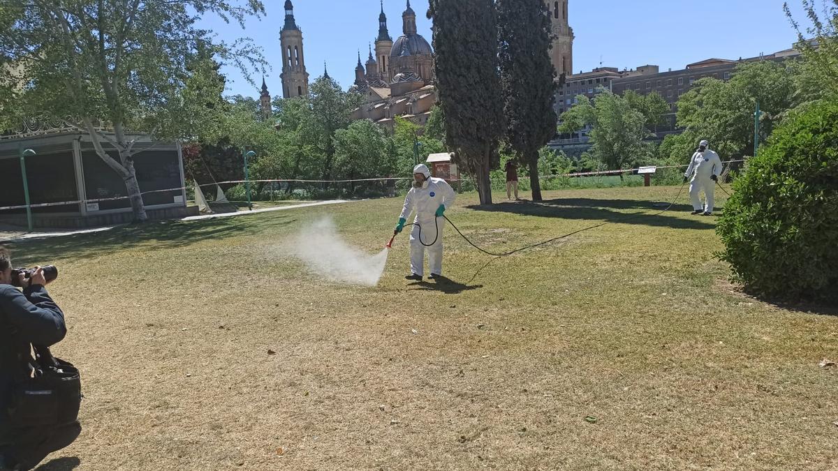 La fumigación puede acabar con el 100% de las garrapatas.