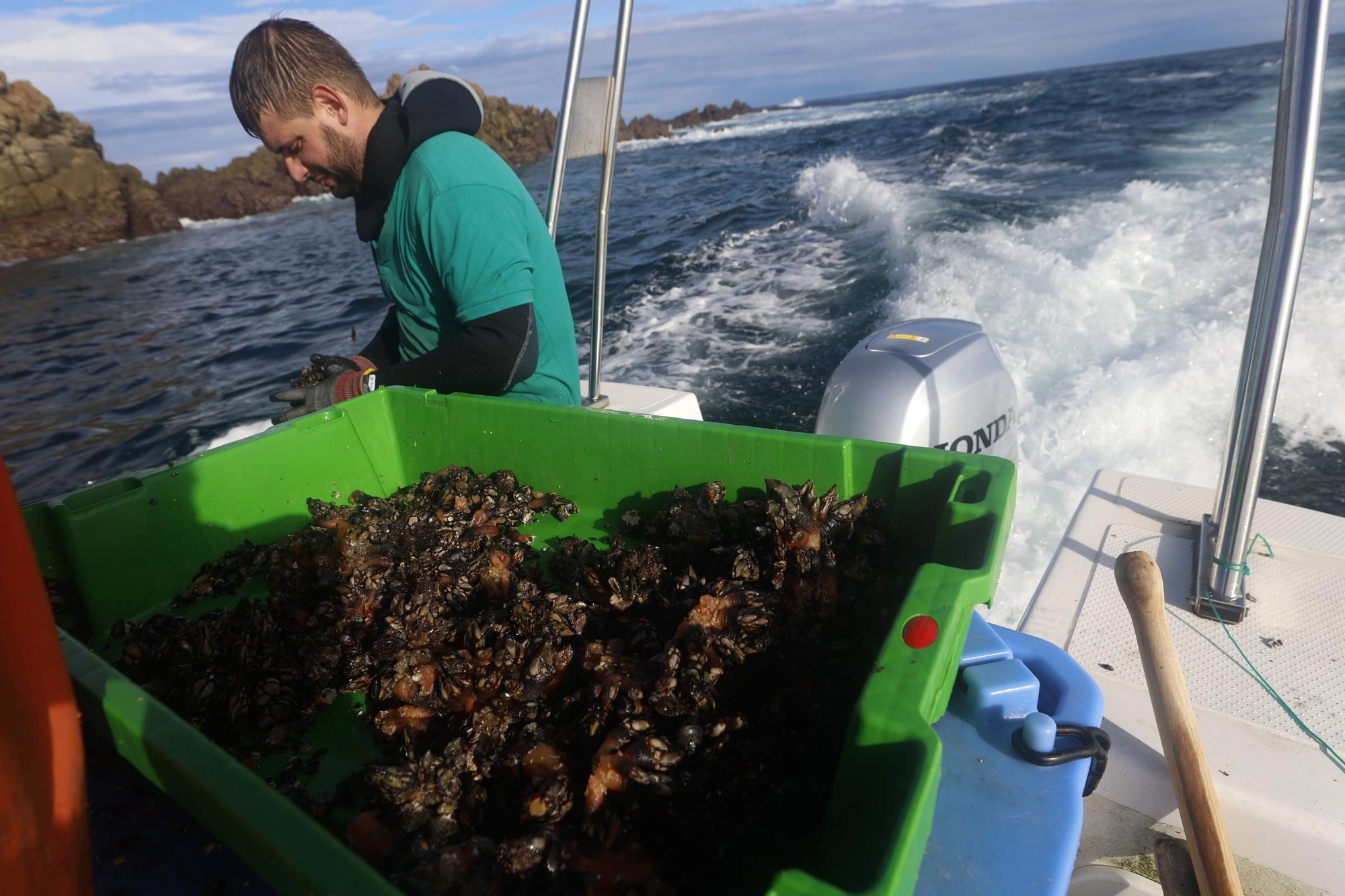 EN IMÁGENES: Así es la dura jornada de los perceberos del cabo Peñas: un oficio de alto riesgo a merced de las olas