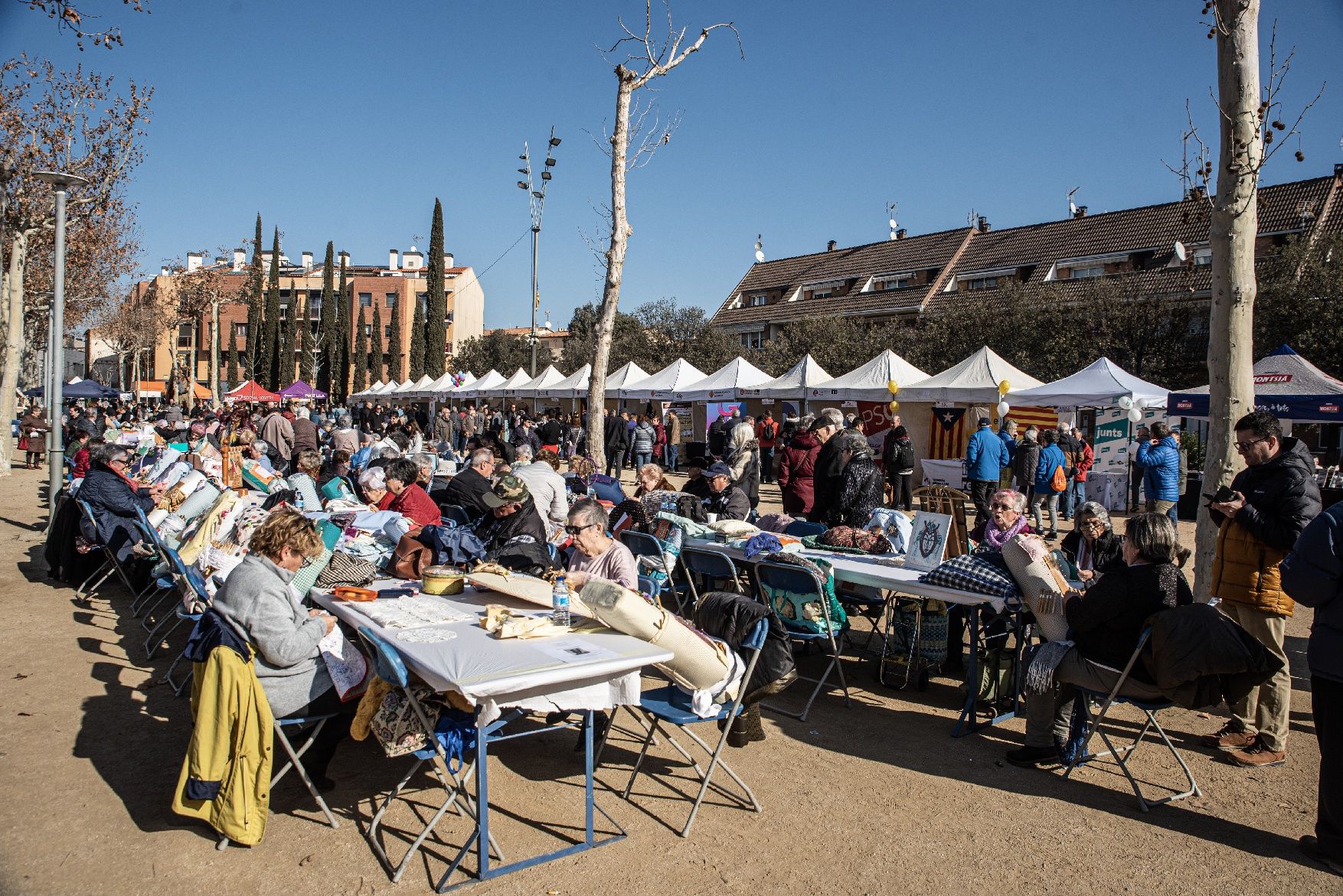 Totes les imatges de la Festa de l'Arrós de Sant Fruitós