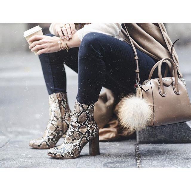 1. Print Animal