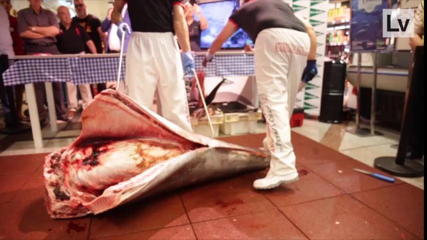 Ronqueo de atún rojo de almadraba en El Corte Inglés Avenida de Francia