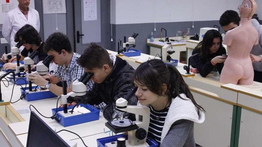 bachillerato de investigación y excelencia.