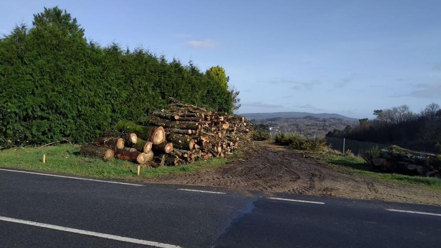 Lalín notificará a los dueños de árboles que invadan o dañen pistas municipales