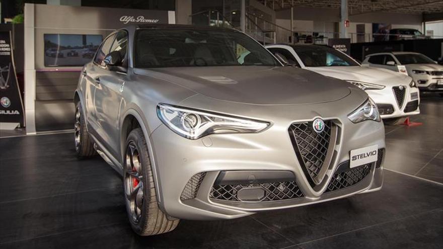 Una edición única del Stelvio Quadrifoglio