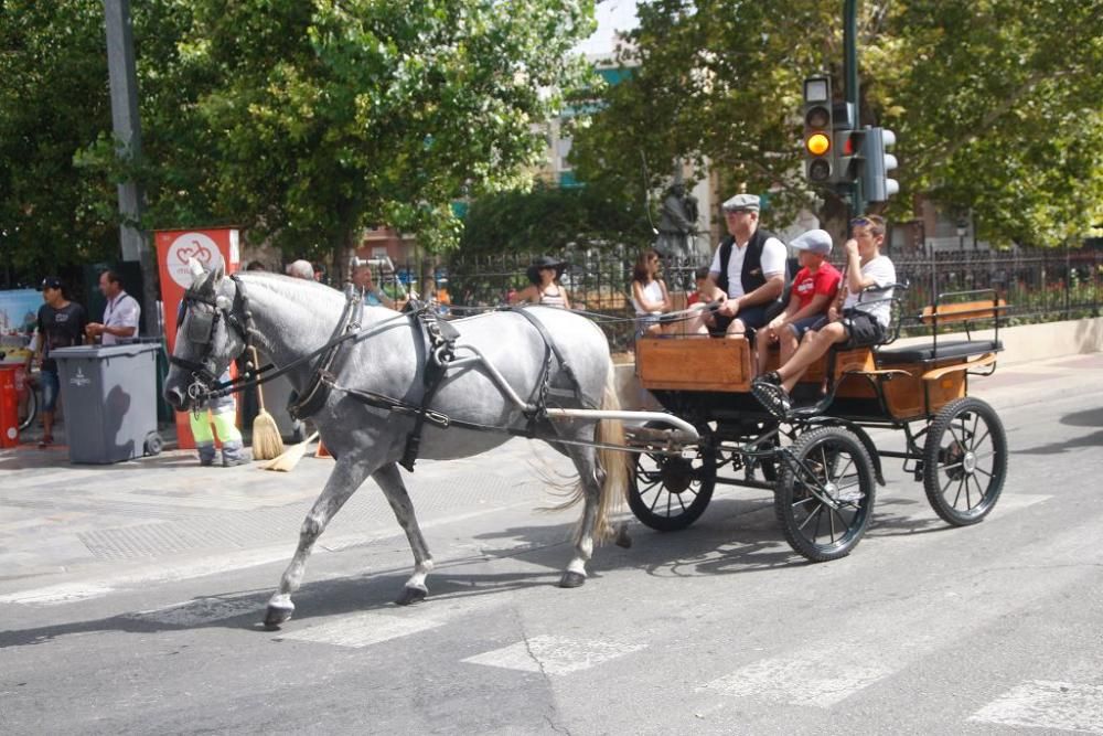 Día del caballo en la Feria de Murcia 2018