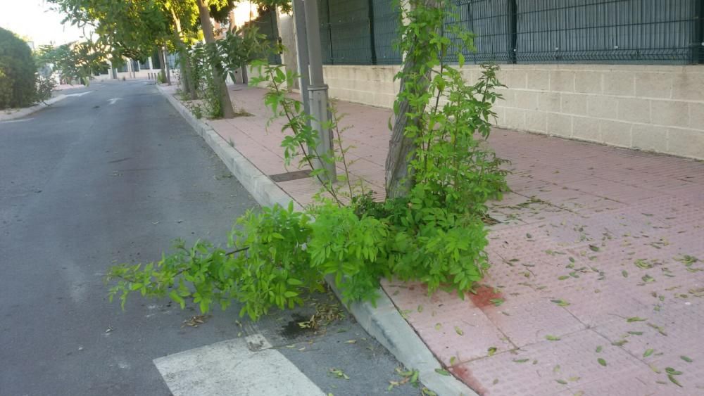 «Alarmante» nivel de suciedad en San Vicente