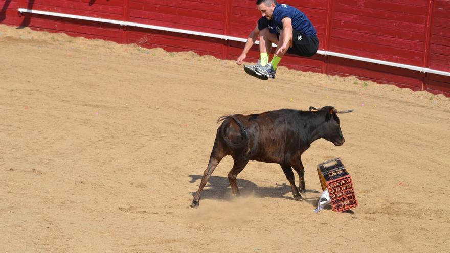 Fiestas del Toro en Benavente: Las mejores imágenes del &quot;Juego de la NTE&quot;