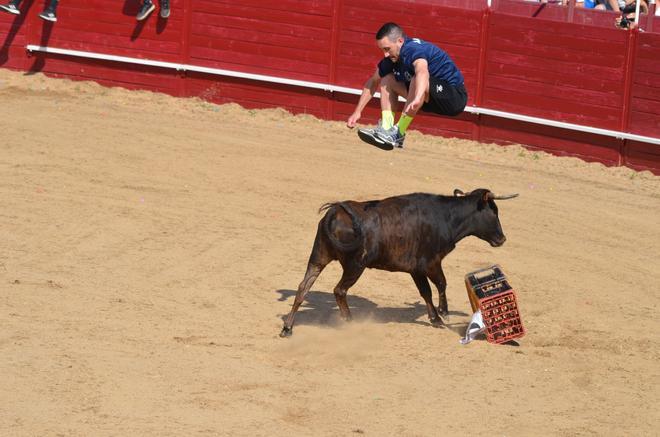 Fiestas del Toro en Benavente: Las mejores imágenes del "Juego de la NTE"